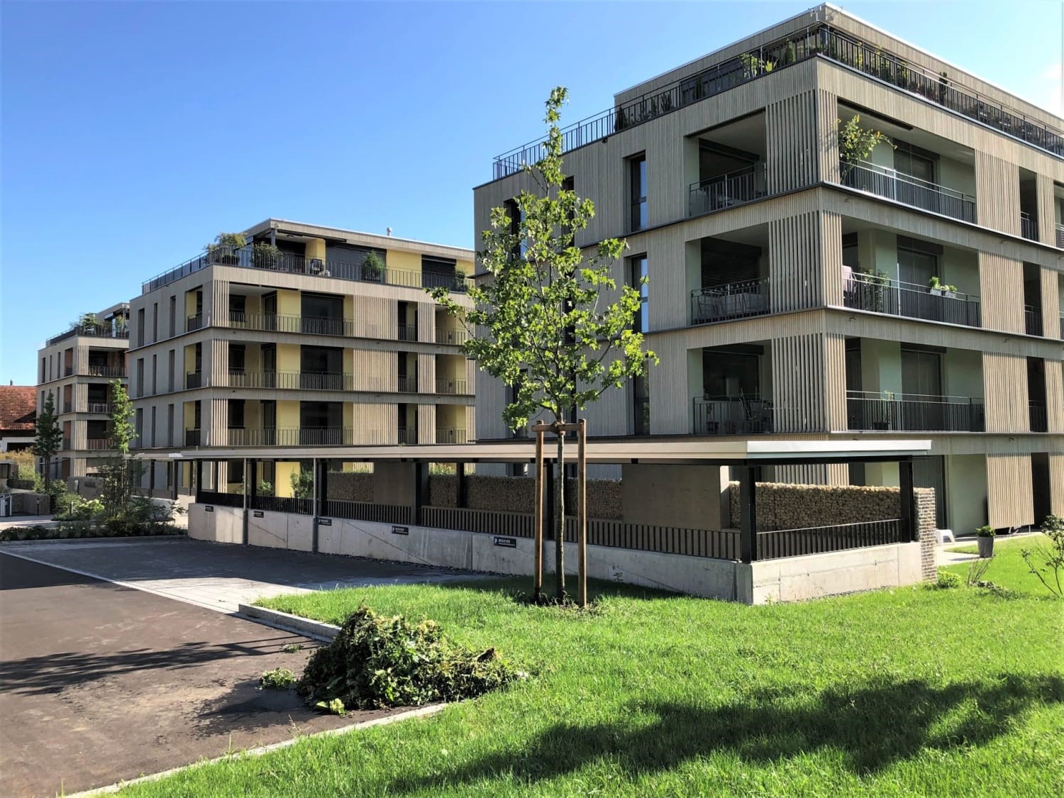 Neubau Überbauung „Maihalde“ und «Lohstrasse»